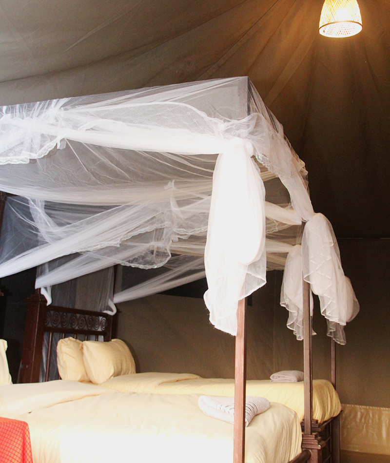 Robin-Safari-Camp-Double-Room