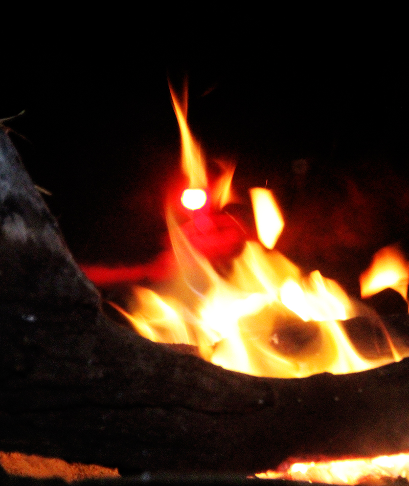 Robin Safari Camp Fire