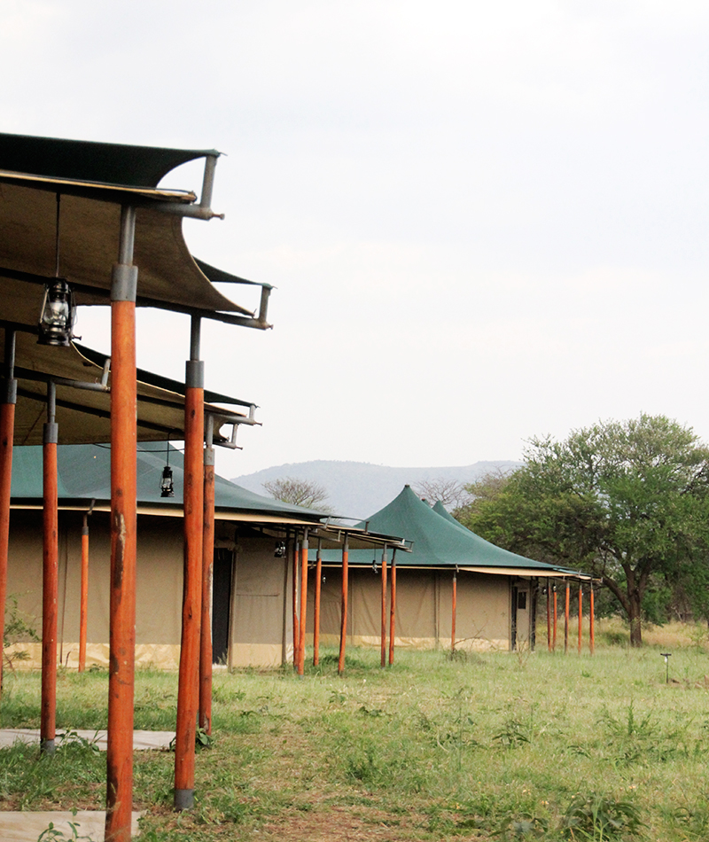 Robin-Safari-Tents