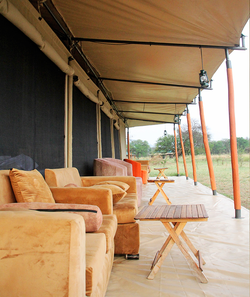 Robin Serengeti Camp outside view