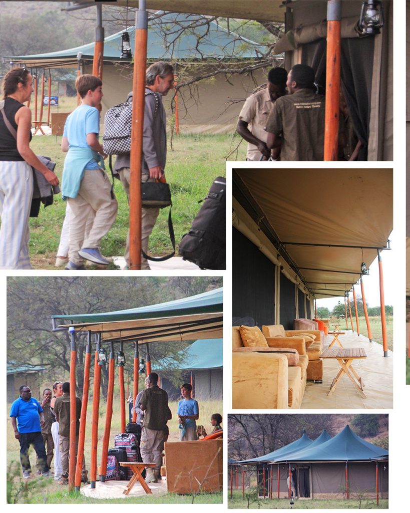 Welcome to Robin Serengeti Safari Camp