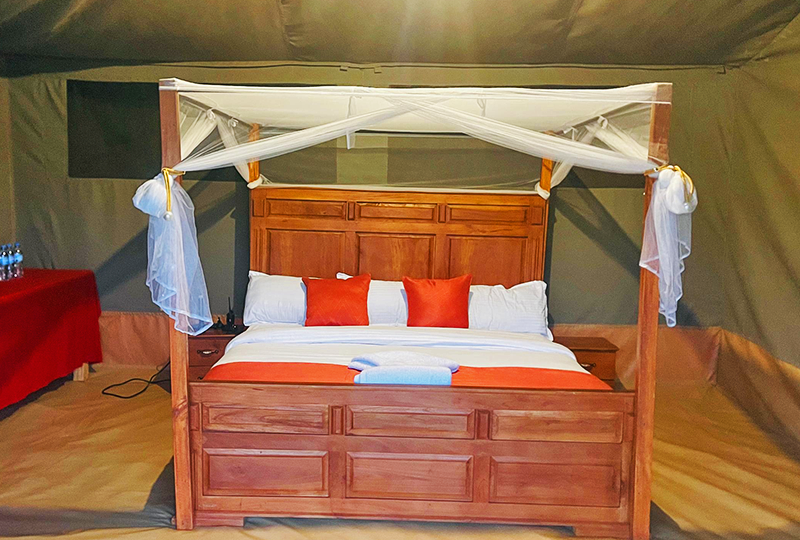 Robin-Double-Tent Robin-Double-Tent