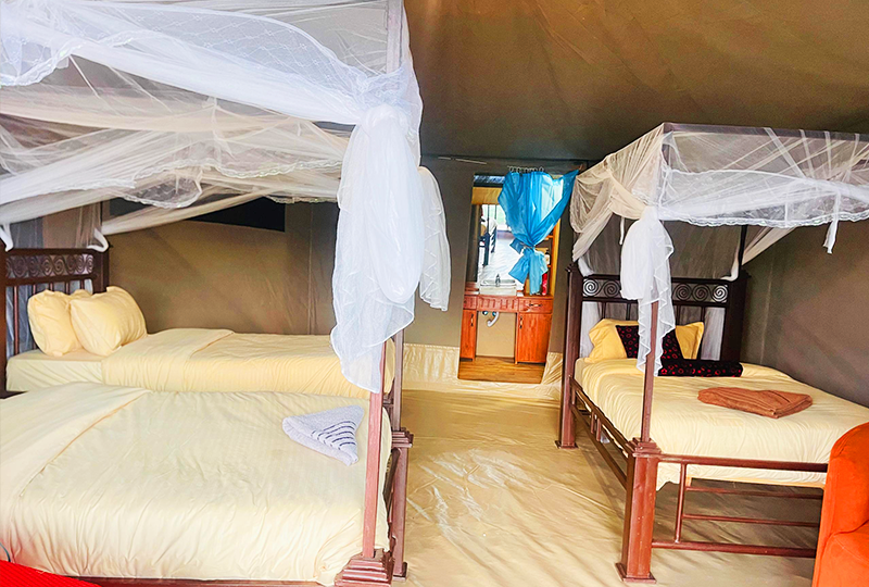 Tripple-Tent Tripple-Tent