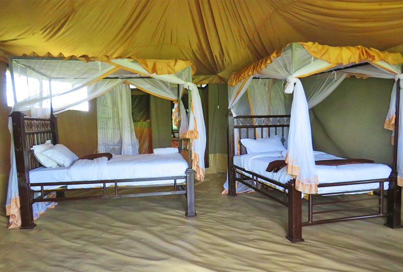 Twin-Room-Robin-Camp Twin-Room-Robin-Camp
