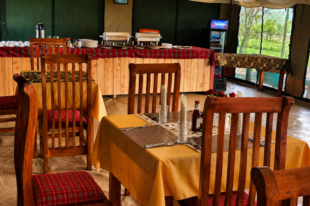 Dininng robin migration camp